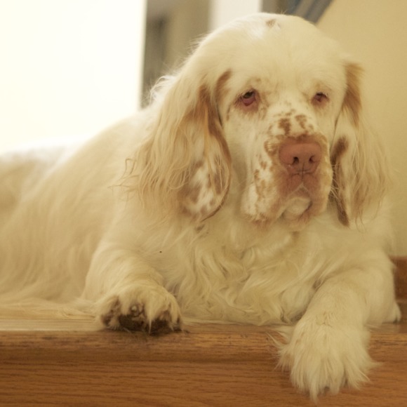 Meet your Posher, Zhanna - Picture 1 of 1